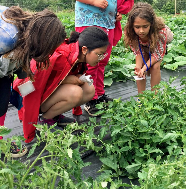 Child Program (2026 Summer Week 4)