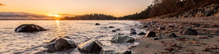 The Contemplative Society