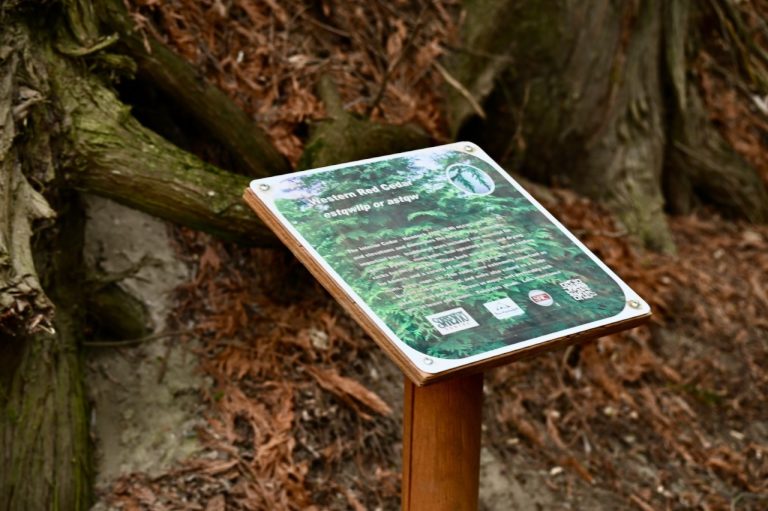 Cultural Signs: Walking the land