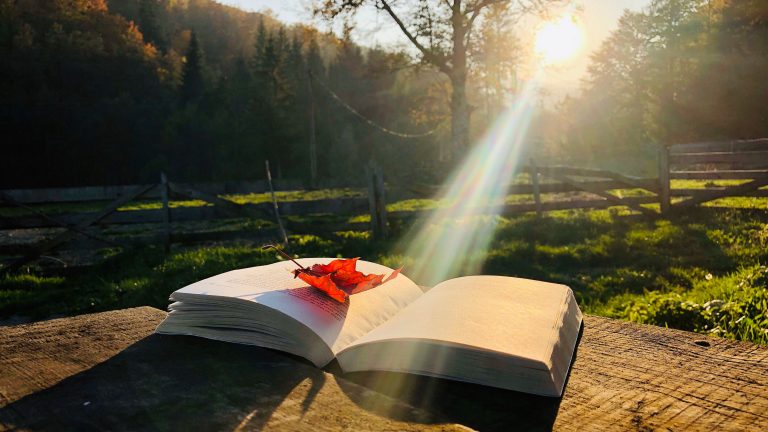 Becoming the Beloved: Henri Nouwen and Christian Identity (2026 Summer Week 3 adult program)